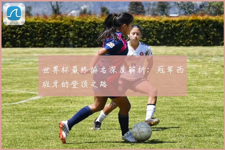 世界杯最终排名深度解析:冠军西班牙的登顶之路