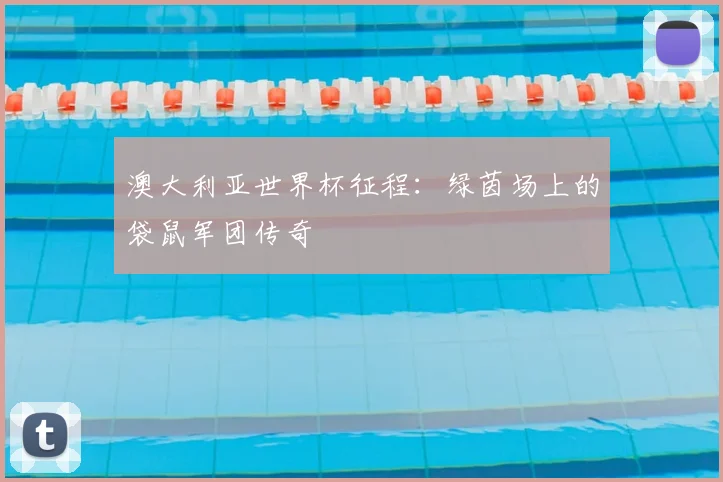 澳大利亚世界杯征程：绿茵场上的袋鼠军团传奇
