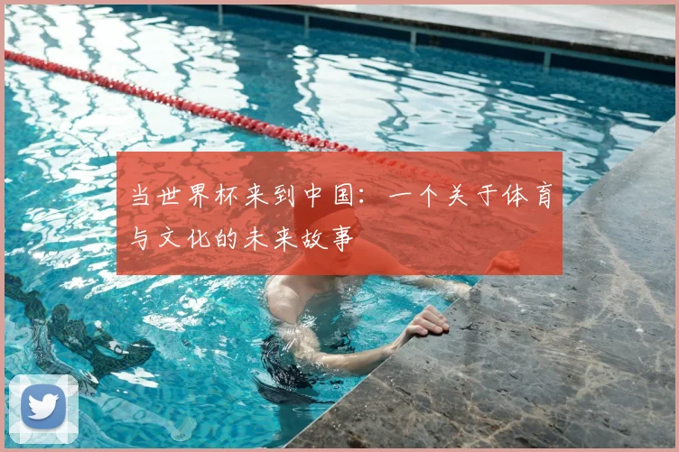 当世界杯来到中国:一个关于体育与文化的未来故事