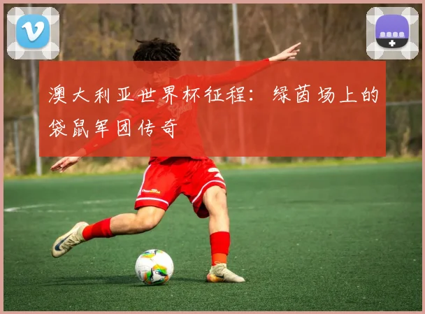 澳大利亚世界杯征程：绿茵场上的袋鼠军团传奇