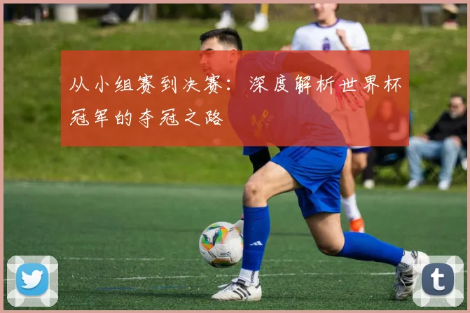 从小组赛到决赛：深度解析世界杯冠军的夺冠之路