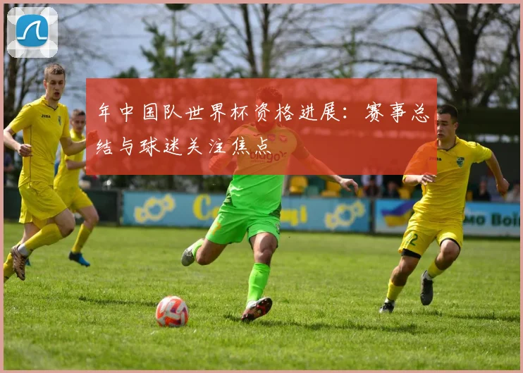 年中国队世界杯资格进展：赛事总结与球迷关注焦点