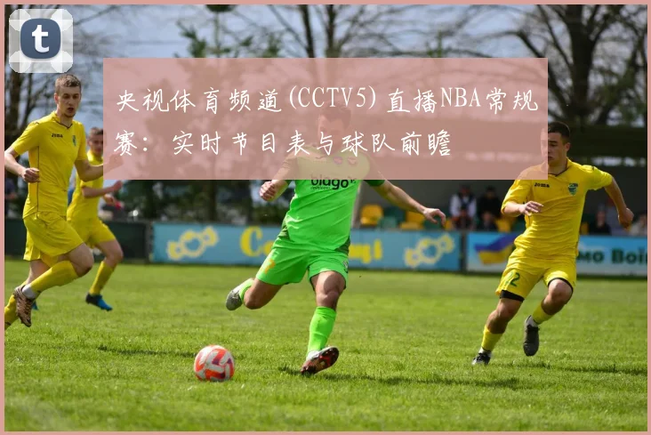 央视体育频道(CCTV5)直播NBA常规赛:实时节目表与球队前瞻