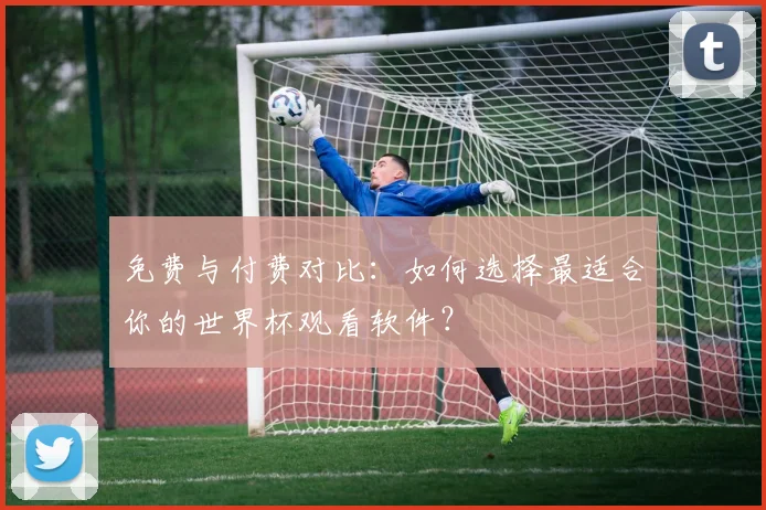 免费与付费对比：如何选择最适合你的世界杯观看软件？