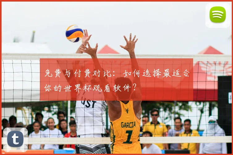 免费与付费对比：如何选择最适合你的世界杯观看软件？