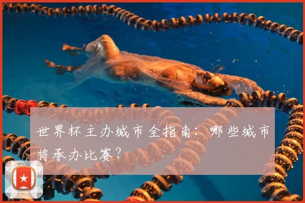 世界杯主办城市全指南:哪些城市将承办比赛?
