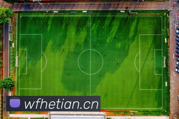 星空体育综合平台APP 封面图